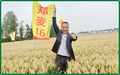 公司簡(jiǎn)介