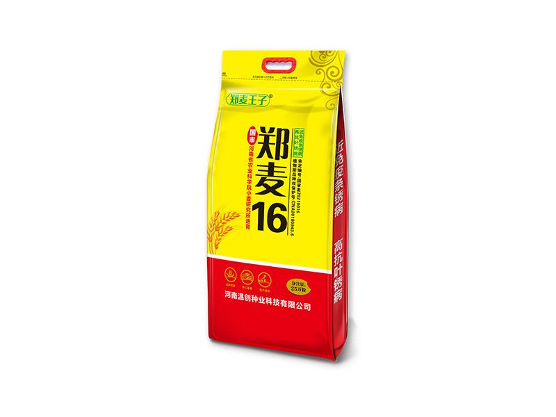 國(guó)審鄭麥16