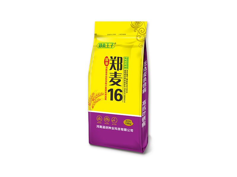 國(guó)審鄭麥16